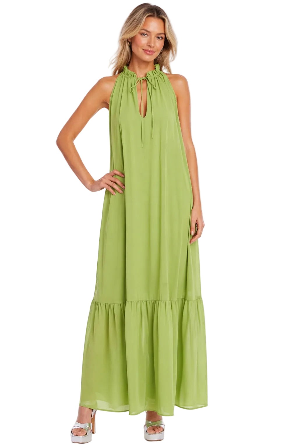 Georgette Trapeze Maxi Dress