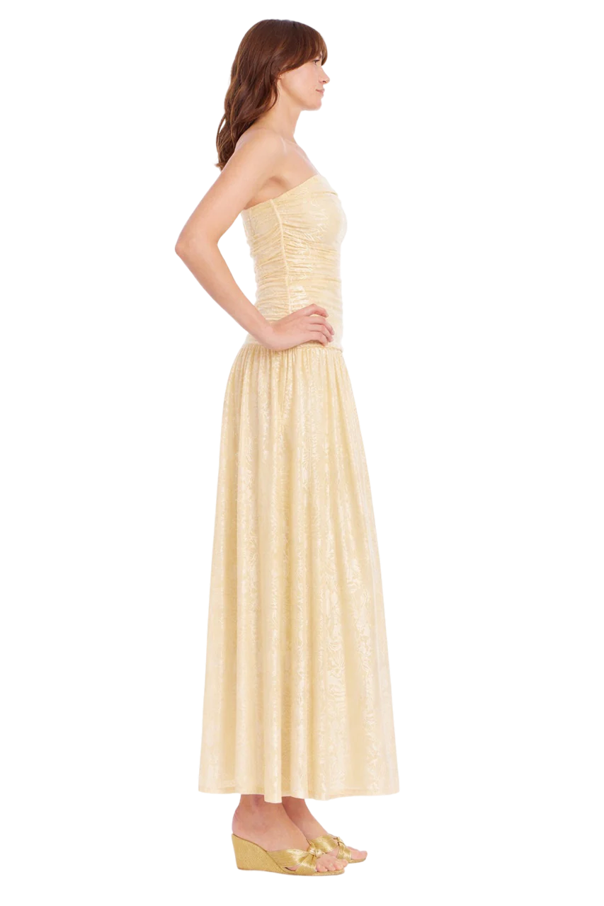 Natasha Floral Strapless Dropwaist Maxi Dress