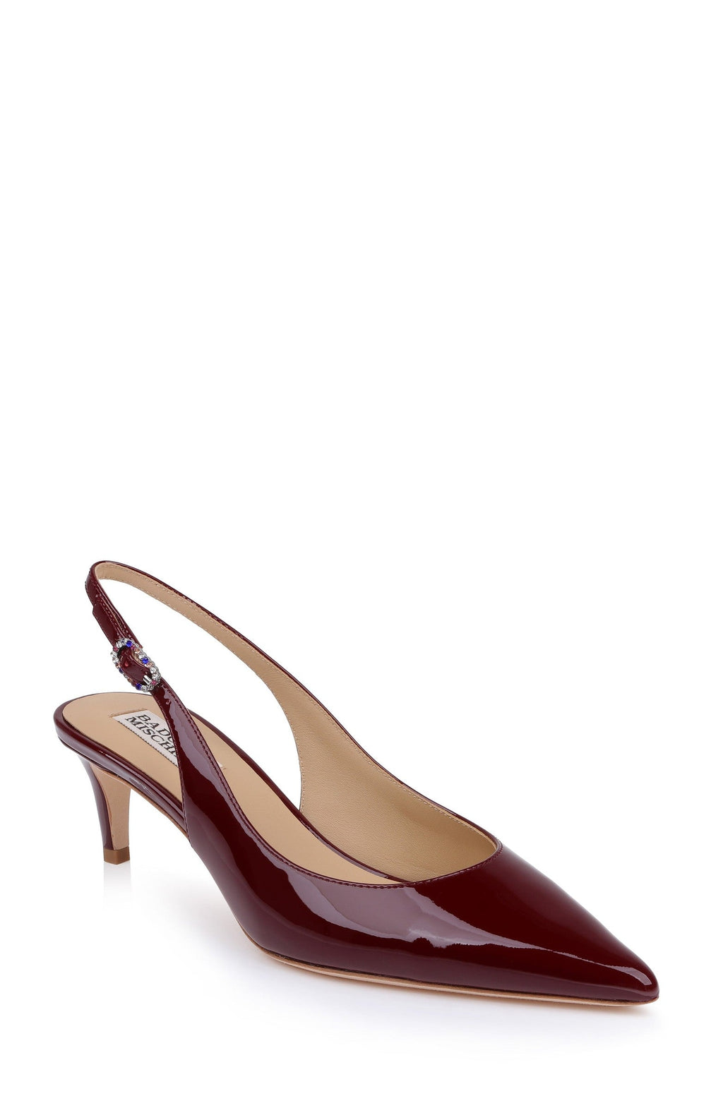 Ruthie II Pointed Toe Slingback Pumps