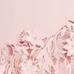 Short Sleeve Lace Trim A-Line Dress