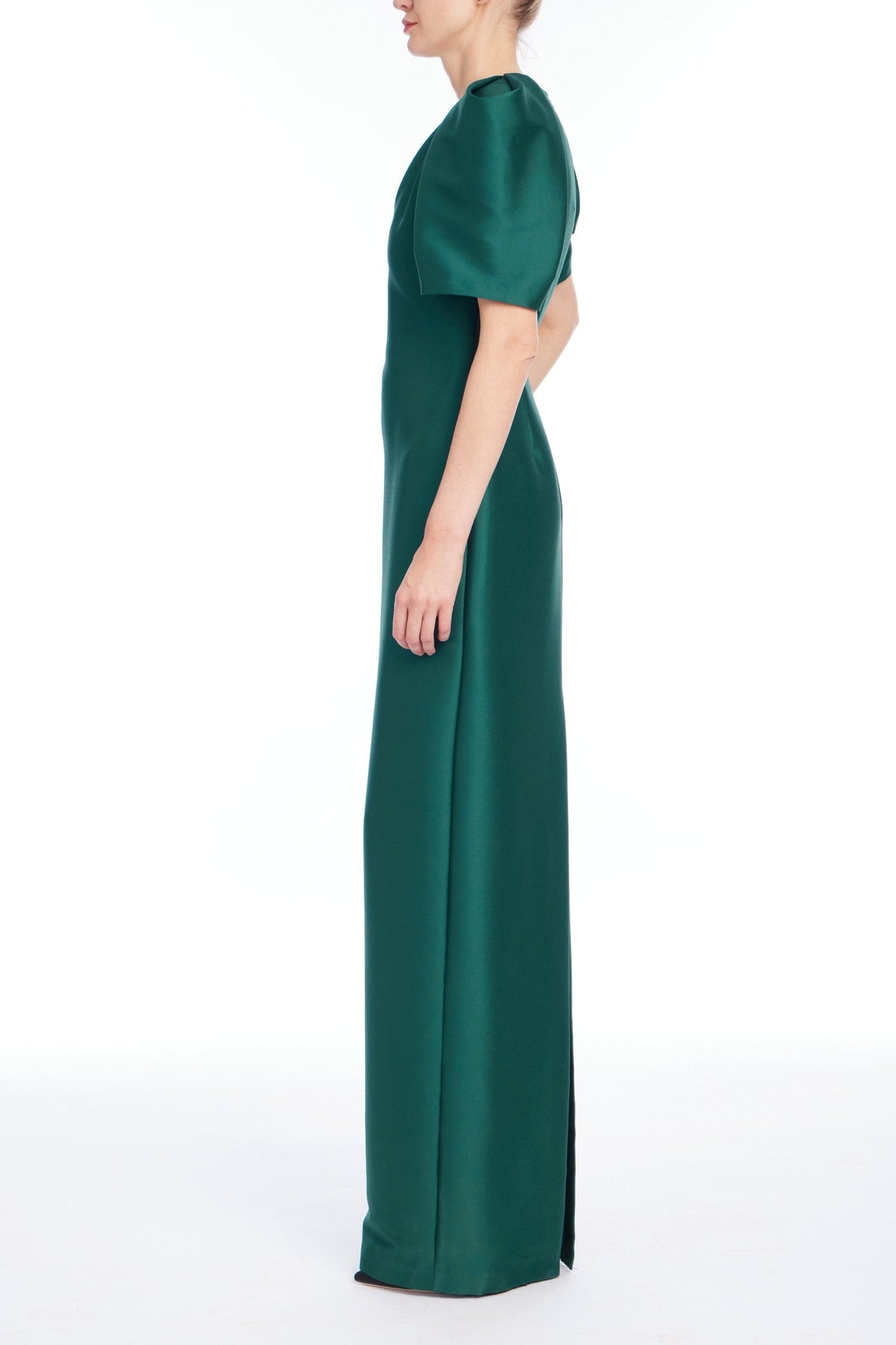 V Neck Sleeve Gown