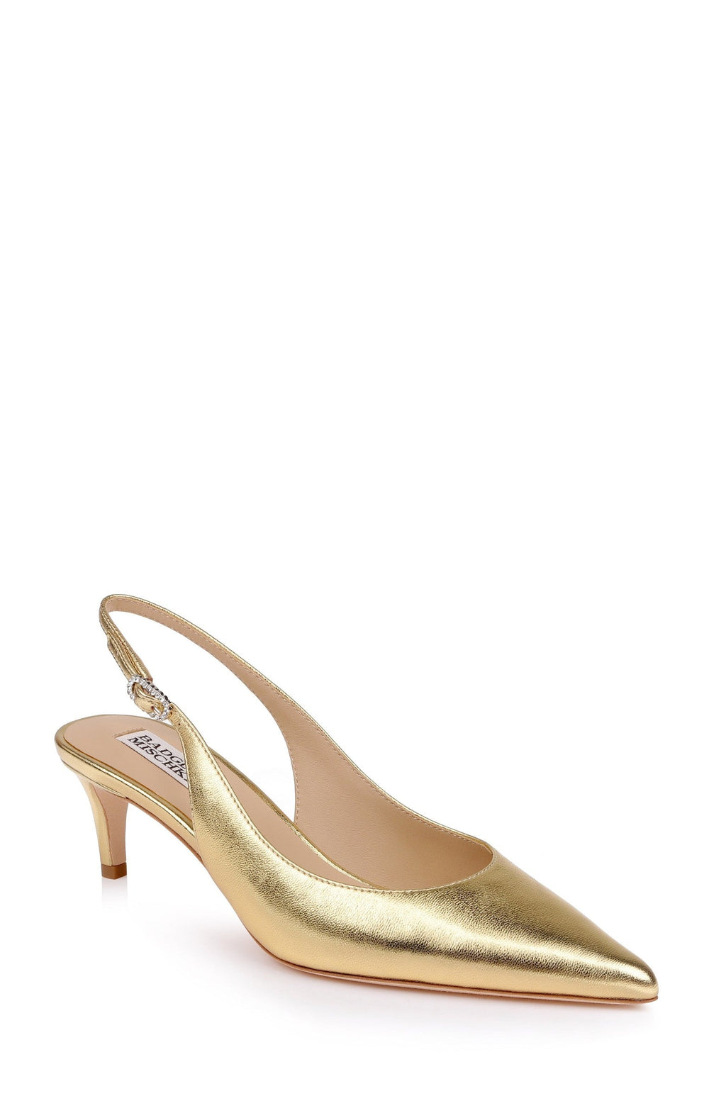 Ruthie II Pointed Toe Slingback Pumps