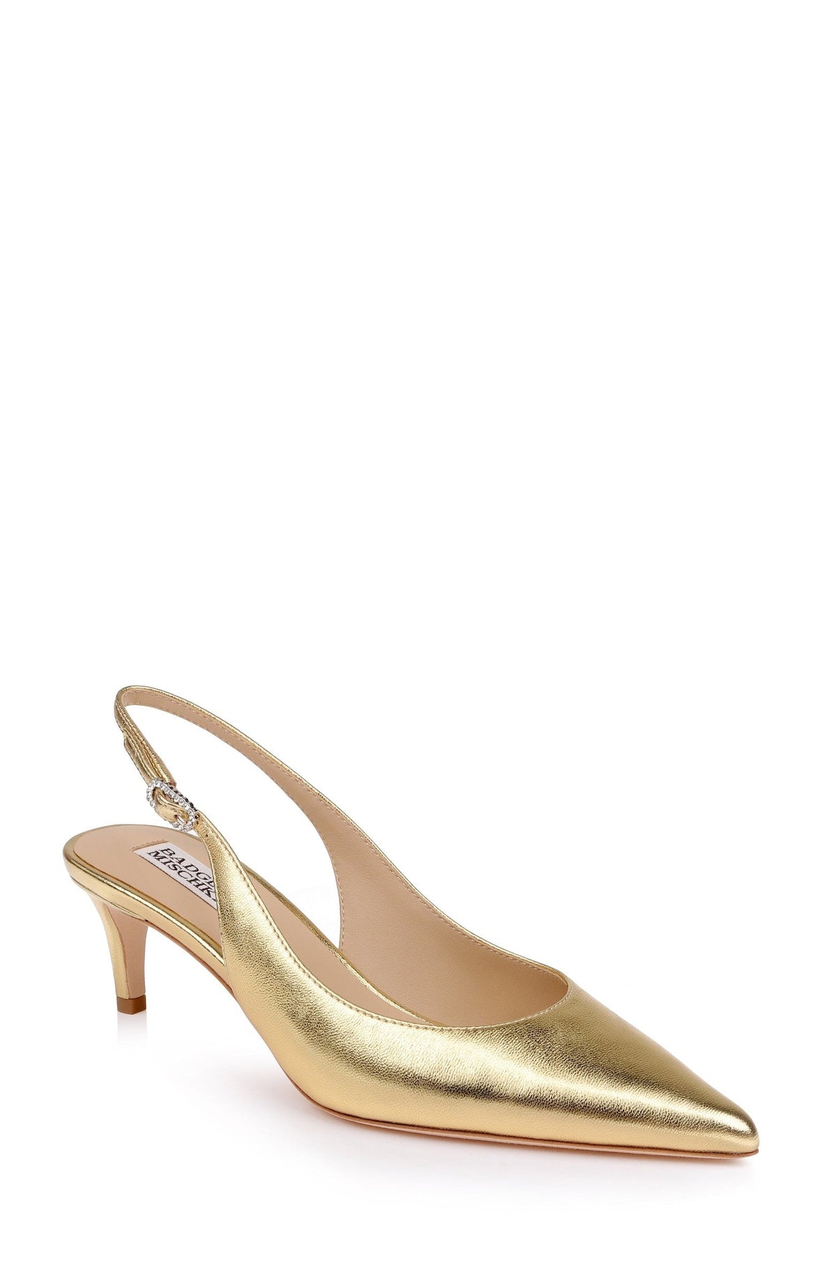 Ruthie II Pointed Toe Slingback Pumps