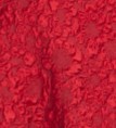 Portrait Jacquard Cocktail Dress