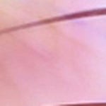 Zelie Sunglasses