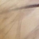 Zelie Sunglasses