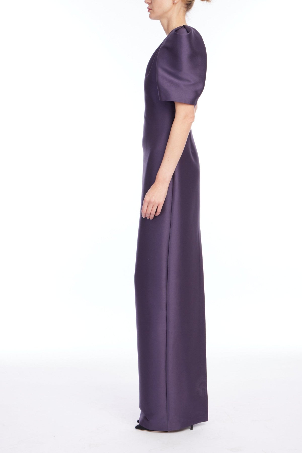 V Neck Sleeve Gown