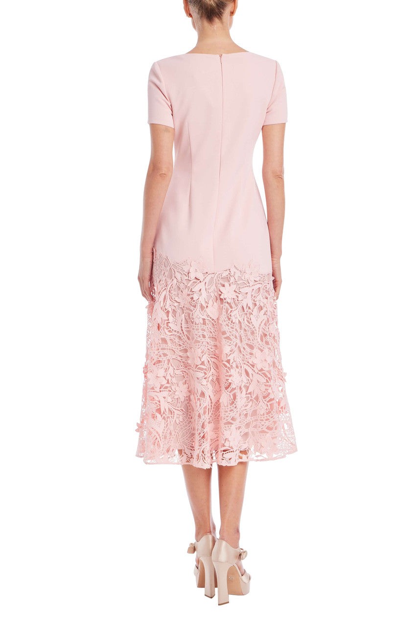 Short Sleeve Lace Trim A-Line Dress